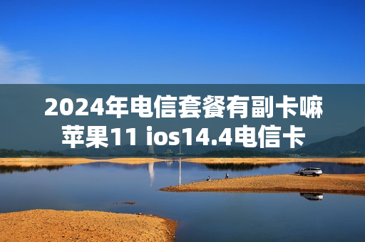 2024年电信套餐有副卡嘛苹果11 ios14.4电信卡