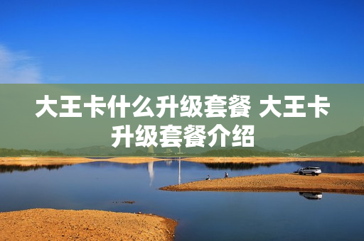 大王卡什么升级套餐 大王卡升级套餐介绍