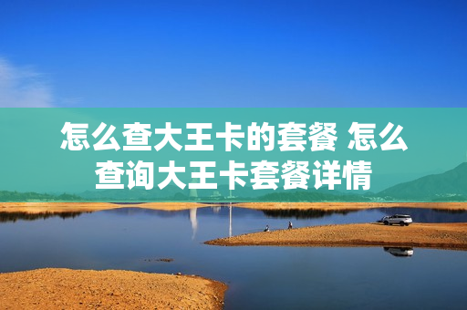 怎么查大王卡的套餐 怎么查询大王卡套餐详情