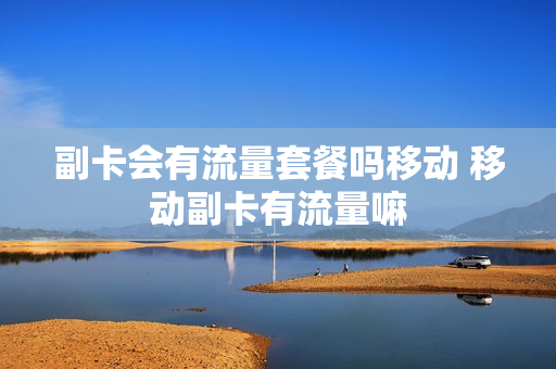 副卡会有流量套餐吗移动 移动副卡有流量嘛