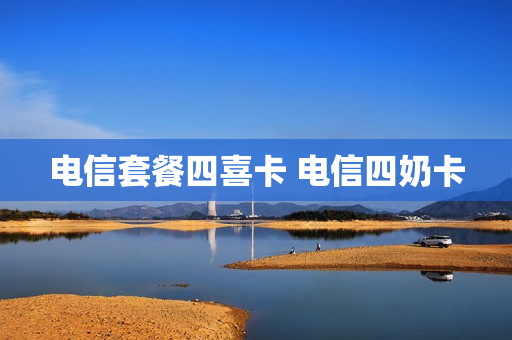 电信套餐四喜卡 电信四奶卡