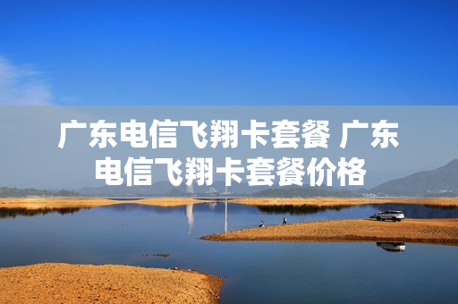 广东电信飞翔卡套餐 广东电信飞翔卡套餐价格