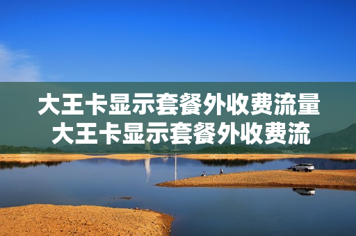 大王卡显示套餐外收费流量 大王卡显示套餐外收费流量什么意思