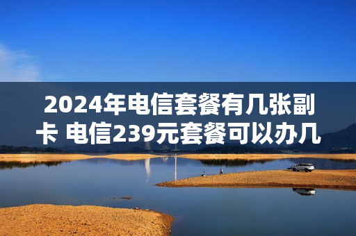2024年电信套餐有几张副卡 电信239元套餐可以办几张副卡