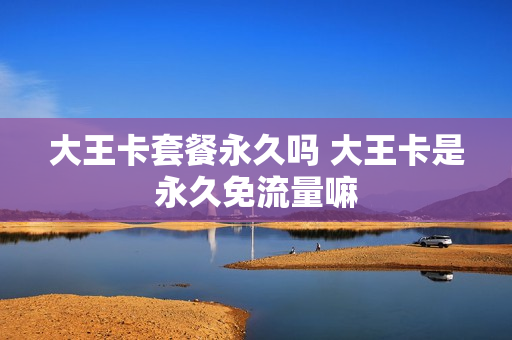 大王卡套餐永久吗 大王卡是永久免流量嘛