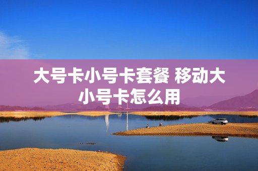 大号卡小号卡套餐 移动大小号卡怎么用