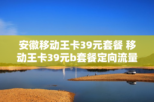 安徽移动王卡39元套餐 移动王卡39元b套餐定向流量国内定向流量