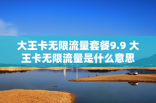 大王卡无限流量套餐9.9 大王卡无限流量是什么意思