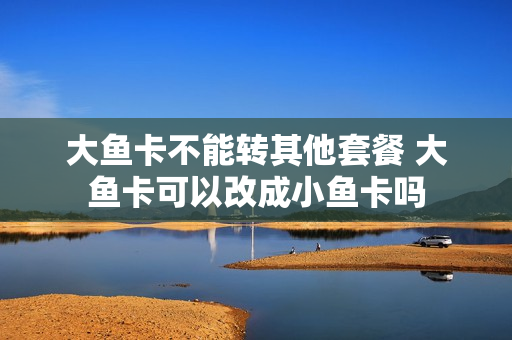 大鱼卡不能转其他套餐 大鱼卡可以改成小鱼卡吗