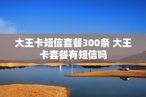 大王卡短信套餐300条 大王卡套餐有短信吗