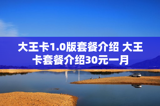 大王卡1.0版套餐介绍 大王卡套餐介绍30元一月