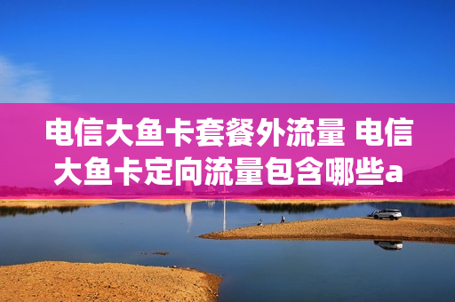 电信大鱼卡套餐外流量 电信大鱼卡定向流量包含哪些app
