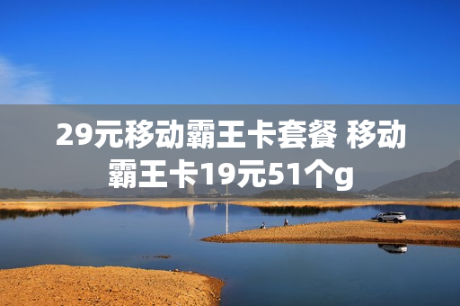 29元移动霸王卡套餐 移动霸王卡19元51个g