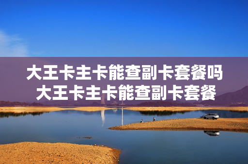 大王卡主卡能查副卡套餐吗 大王卡主卡能查副卡套餐吗移动