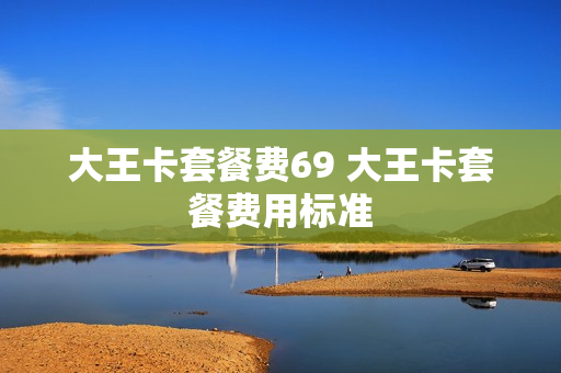 大王卡套餐费69 大王卡套餐费用标准