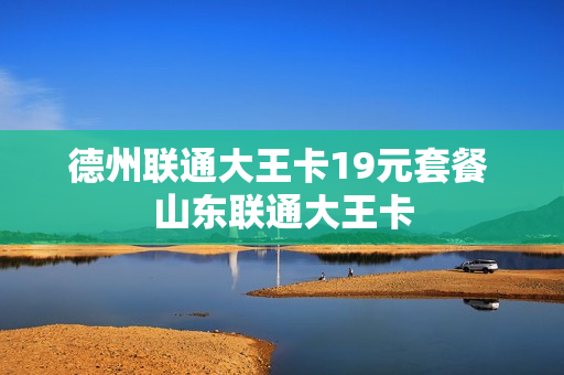德州联通大王卡19元套餐 山东联通大王卡
