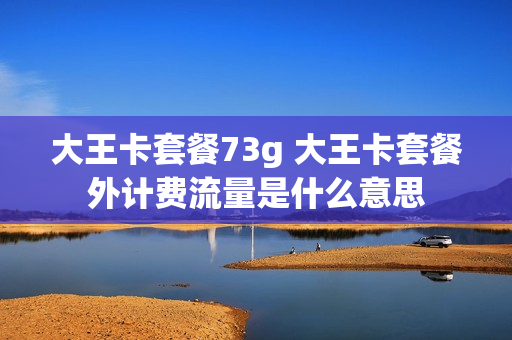 大王卡套餐73g 大王卡套餐外计费流量是什么意思
