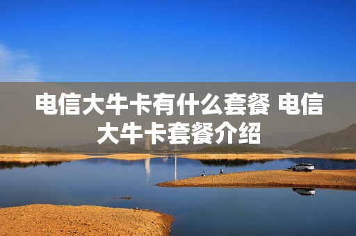 电信大牛卡有什么套餐 电信大牛卡套餐介绍