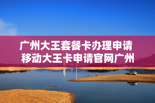 广州大王套餐卡办理申请 移动大王卡申请官网广州