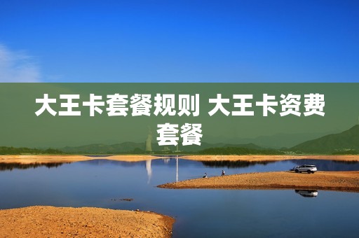 大王卡套餐规则 大王卡资费套餐