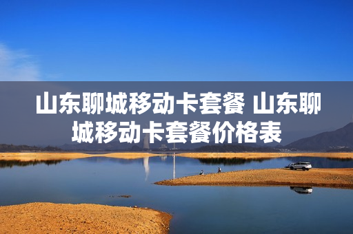山东聊城移动卡套餐 山东聊城移动卡套餐价格表