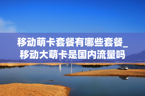 移动萌卡套餐有哪些套餐_移动大萌卡是国内流量吗