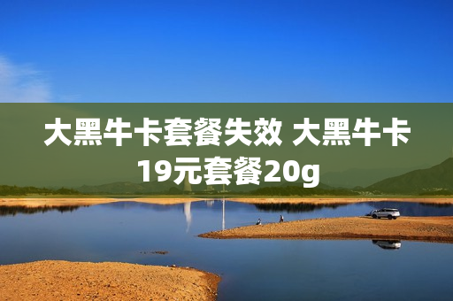 大黑牛卡套餐失效 大黑牛卡19元套餐20g