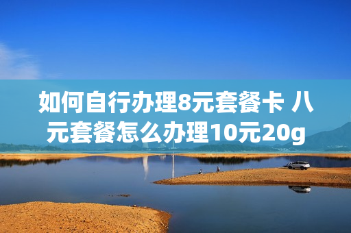 如何自行办理8元套餐卡 八元套餐怎么办理10元20g