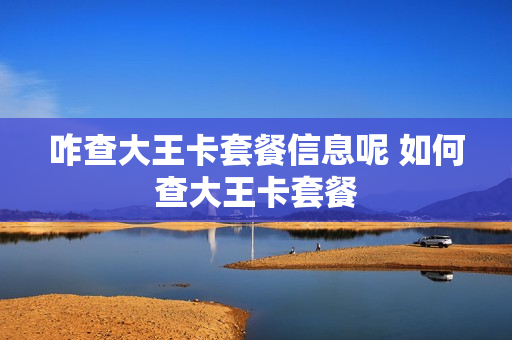 咋查大王卡套餐信息呢 如何查大王卡套餐