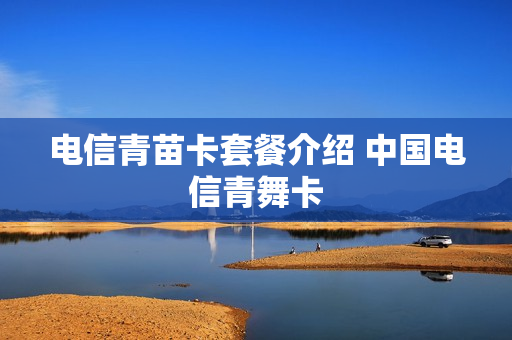 电信青苗卡套餐介绍 中国电信青舞卡
