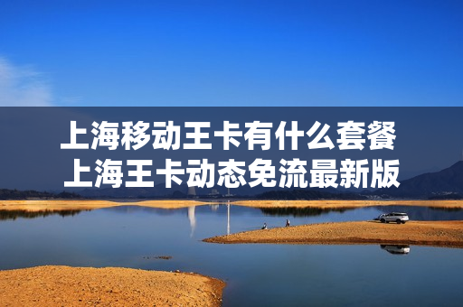 上海移动王卡有什么套餐 上海王卡动态免流最新版
