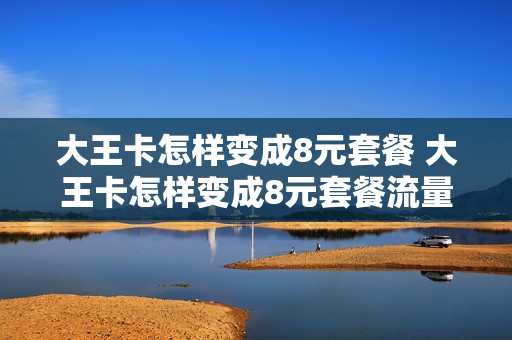 大王卡怎样变成8元套餐 大王卡怎样变成8元套餐流量
