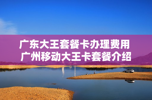 广东大王套餐卡办理费用 广州移动大王卡套餐介绍