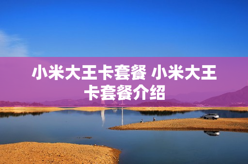 小米大王卡套餐 小米大王卡套餐介绍
