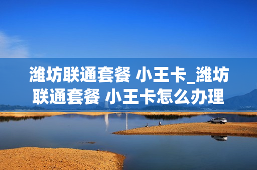 潍坊联通套餐 小王卡_潍坊联通套餐 小王卡怎么办理