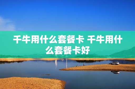 千牛用什么套餐卡 千牛用什么套餐卡好