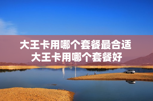 大王卡用哪个套餐最合适 大王卡用哪个套餐好