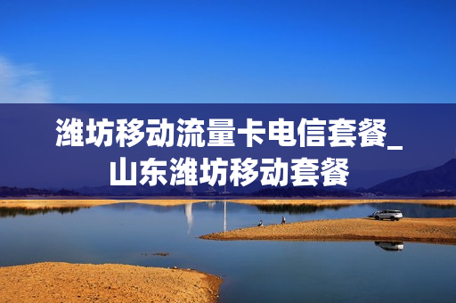 潍坊移动流量卡电信套餐_山东潍坊移动套餐