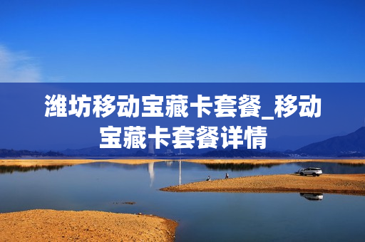 潍坊移动宝藏卡套餐_移动宝藏卡套餐详情