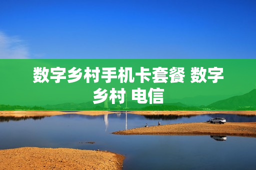 数字乡村手机卡套餐 数字乡村 电信