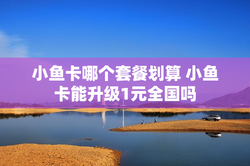 小鱼卡哪个套餐划算 小鱼卡能升级1元全国吗