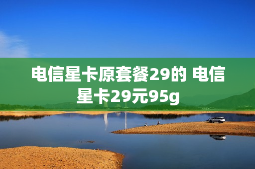 电信星卡原套餐29的 电信星卡29元95g