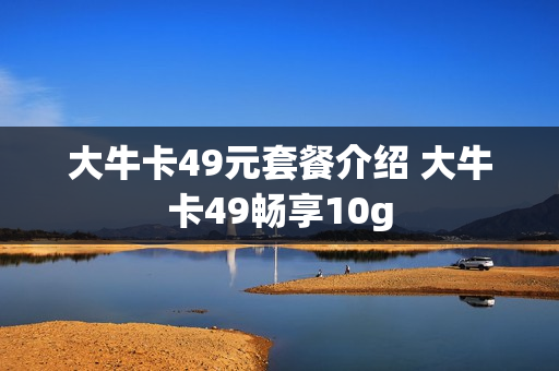 大牛卡49元套餐介绍 大牛卡49畅享10g