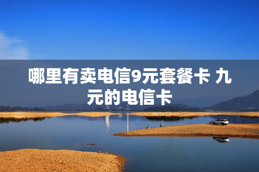 哪里有卖电信9元套餐卡 九元的电信卡