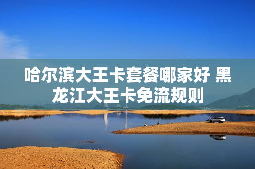 哈尔滨大王卡套餐哪家好 黑龙江大王卡免流规则