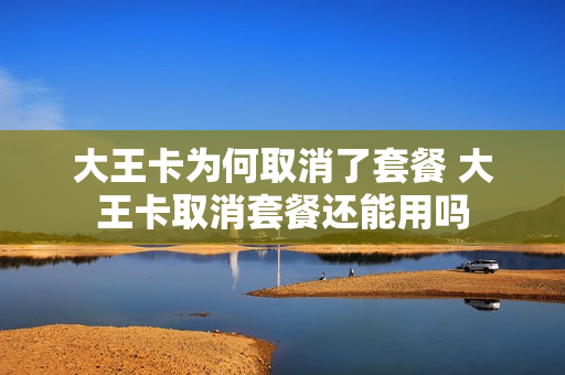 大王卡为何取消了套餐 大王卡取消套餐还能用吗