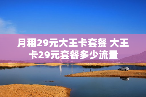 月租29元大王卡套餐 大王卡29元套餐多少流量