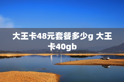 大王卡48元套餐多少g 大王卡40gb