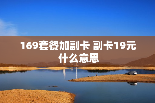 169套餐加副卡 副卡19元 什么意思