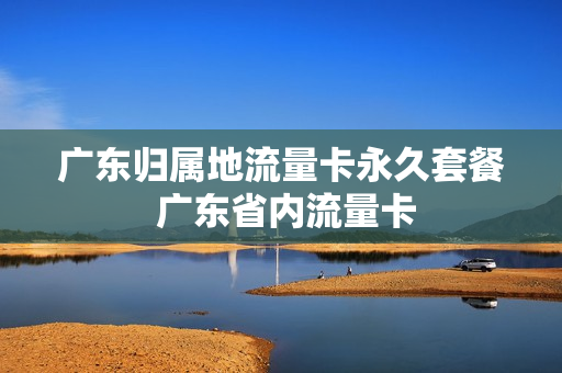 广东归属地流量卡永久套餐 广东省内流量卡